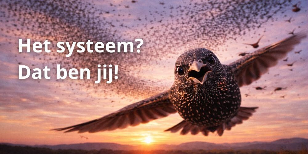 het systeem? dat ben jij