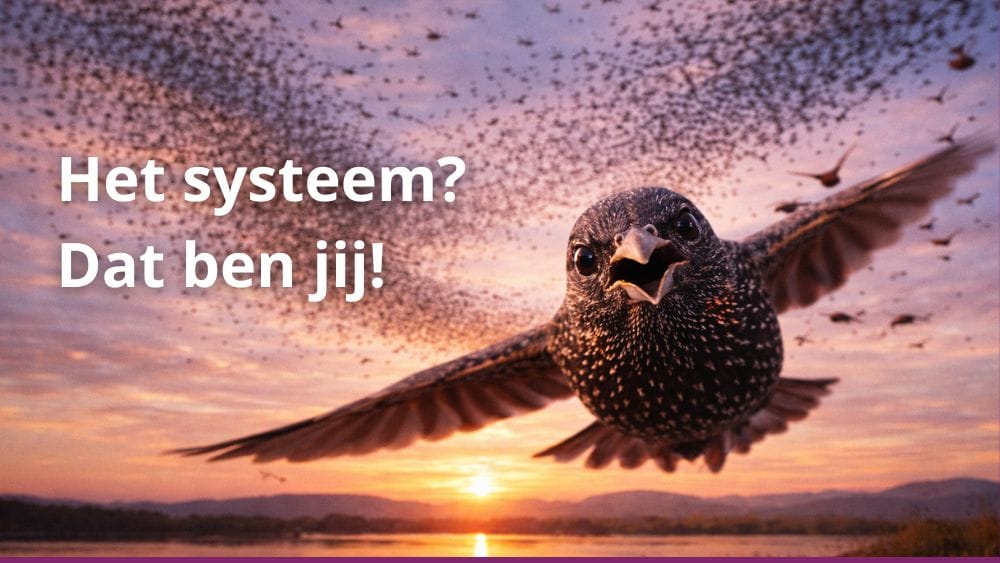 het systeem? dat ben jij